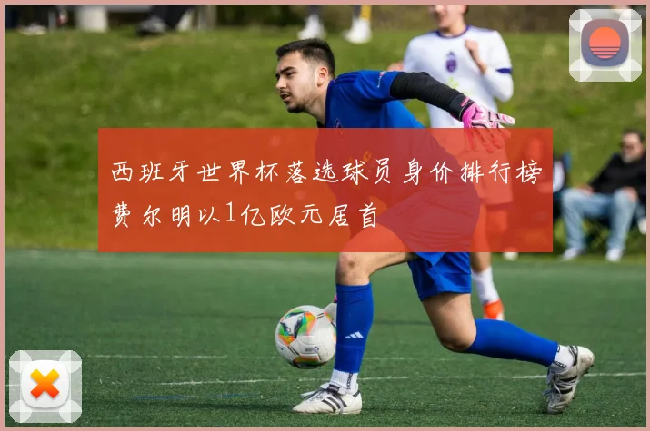 西班牙世界杯落选球员身价排行榜费尔明以1亿欧元居首