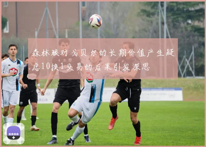 森林狼对戈贝尔的长期价值产生疑虑10换1交易的后果引发深思